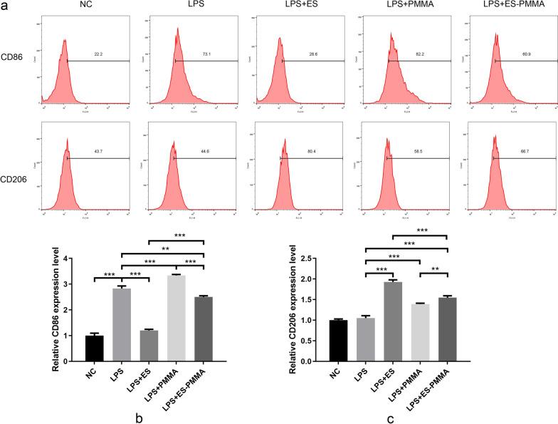 https://cdn.ncbi.nlm.nih.gov/pmc/blobs/e55c/10207791/d445f513ebb0/13018_2023_3865_Fig6_HTML.jpg