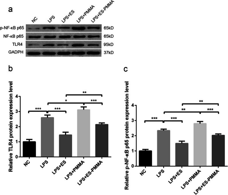 https://cdn.ncbi.nlm.nih.gov/pmc/blobs/e55c/10207791/e1c740e8bc30/13018_2023_3865_Fig8_HTML.jpg