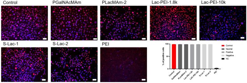 https://cdn.ncbi.nlm.nih.gov/pmc/blobs/e55d/10532372/2bdde5debd15/ijms-24-14150-g007.jpg