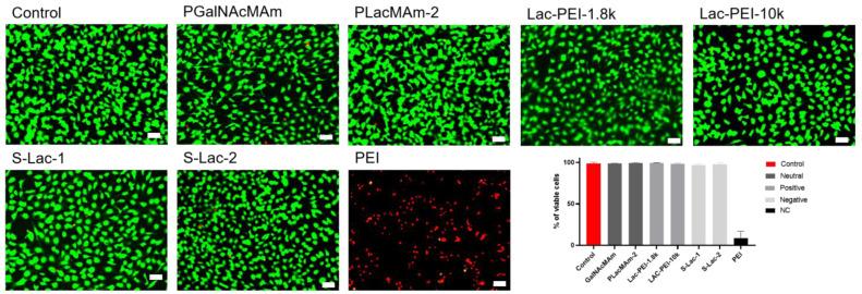 https://cdn.ncbi.nlm.nih.gov/pmc/blobs/e55d/10532372/fab83a354f7f/ijms-24-14150-g006.jpg