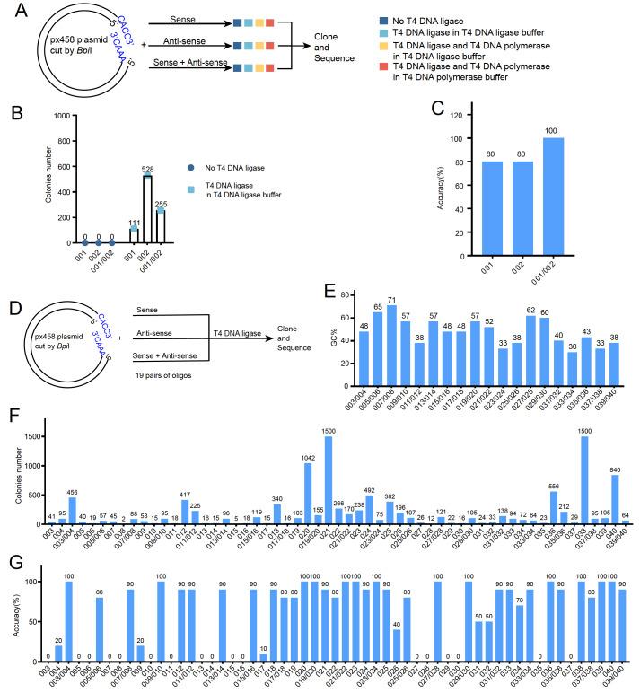 https://cdn.ncbi.nlm.nih.gov/pmc/blobs/e55d/11659769/ea06137ec963/24148Figure_1.jpg