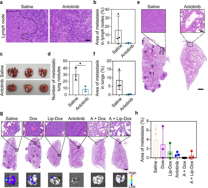 https://cdn.ncbi.nlm.nih.gov/pmc/blobs/e55e/11016544/026458d51570/41392_2024_1794_Fig7_HTML.jpg