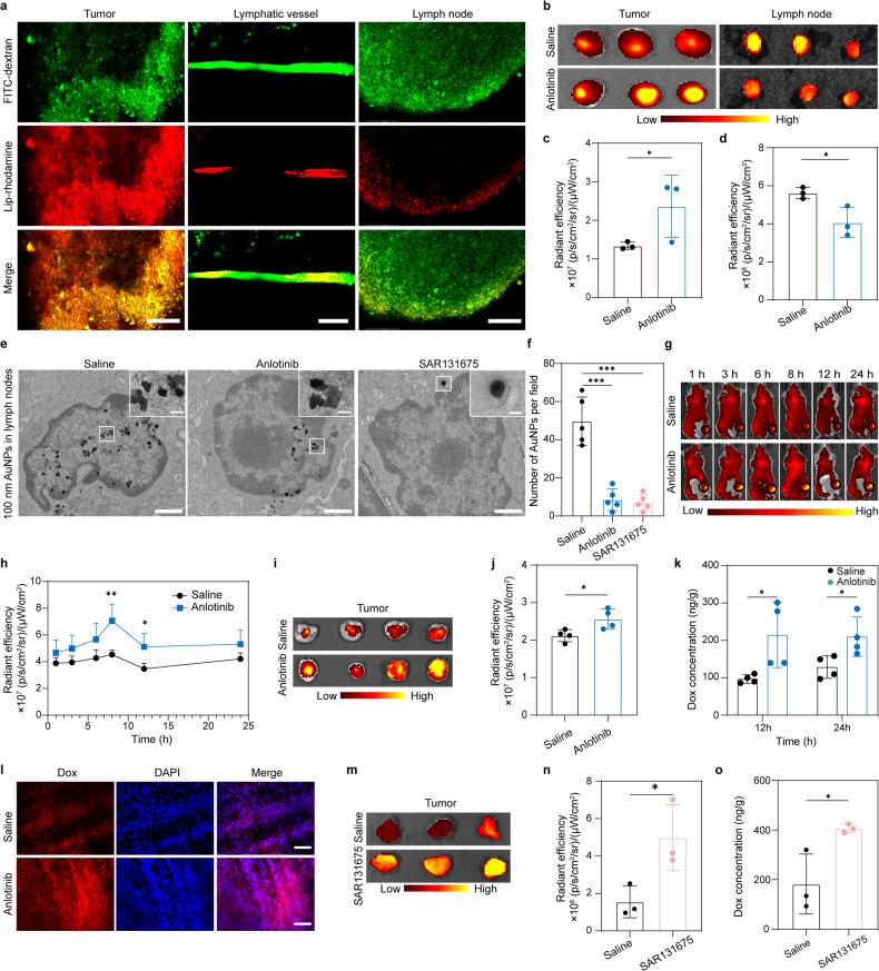https://cdn.ncbi.nlm.nih.gov/pmc/blobs/e55e/11016544/41221291e38b/41392_2024_1794_Fig3_HTML.jpg
