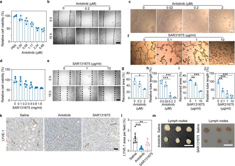 https://cdn.ncbi.nlm.nih.gov/pmc/blobs/e55e/11016544/834dead328fa/41392_2024_1794_Fig2_HTML.jpg