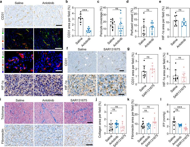 https://cdn.ncbi.nlm.nih.gov/pmc/blobs/e55e/11016544/cb724d3e508b/41392_2024_1794_Fig4_HTML.jpg
