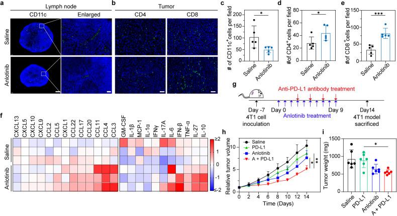 https://cdn.ncbi.nlm.nih.gov/pmc/blobs/e55e/11016544/e06bc8dc4c9a/41392_2024_1794_Fig6_HTML.jpg