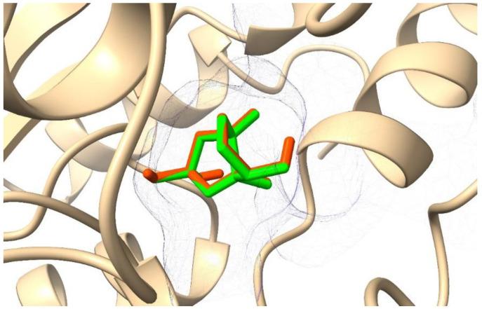 https://cdn.ncbi.nlm.nih.gov/pmc/blobs/e55e/9369968/e6a05fc73841/molecules-27-04887-g001.jpg