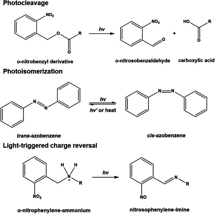 https://cdn.ncbi.nlm.nih.gov/pmc/blobs/e560/12082745/c620f04f755c/IDRD_A_2502346_F0004_B.jpg