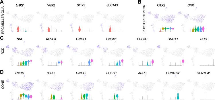 https://cdn.ncbi.nlm.nih.gov/pmc/blobs/e560/12327943/05222befa918/elife-101918-fig1-figsupp2.jpg