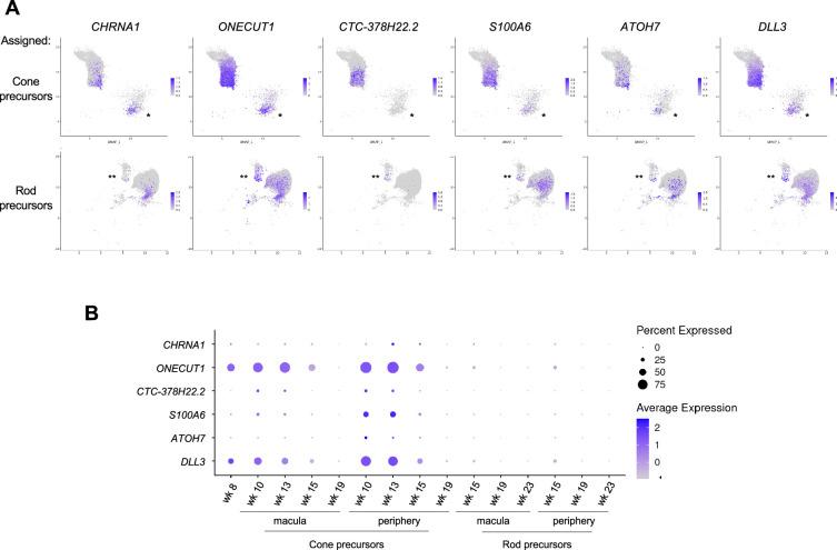 https://cdn.ncbi.nlm.nih.gov/pmc/blobs/e560/12327943/1ff68d933206/elife-101918-fig8-figsupp1.jpg