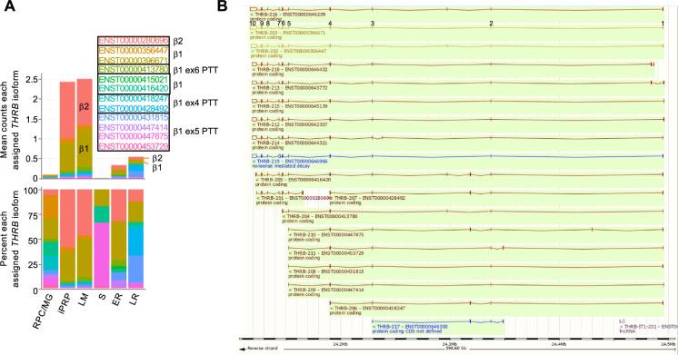 https://cdn.ncbi.nlm.nih.gov/pmc/blobs/e560/12327943/584864ef53cf/elife-101918-fig4-figsupp1.jpg