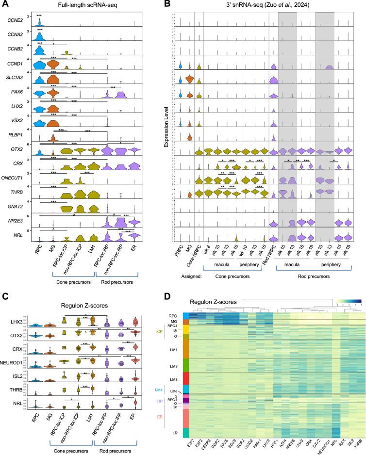 https://cdn.ncbi.nlm.nih.gov/pmc/blobs/e560/12327943/75f2ee68e015/elife-101918-fig5-figsupp2.jpg