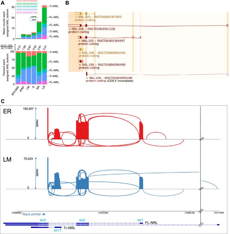 https://cdn.ncbi.nlm.nih.gov/pmc/blobs/e560/12327943/c6282b330723/elife-101918-fig3-figsupp1.jpg