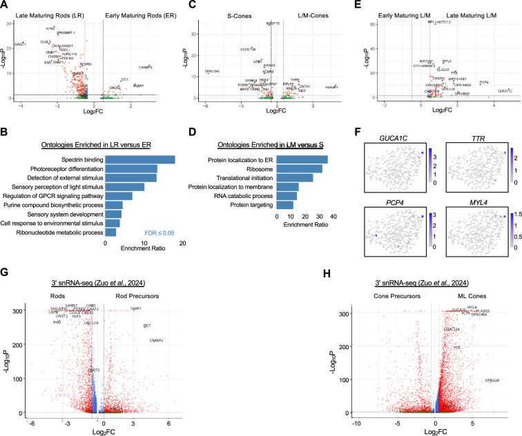 https://cdn.ncbi.nlm.nih.gov/pmc/blobs/e560/12327943/e16ce52e4514/elife-101918-fig1-figsupp3.jpg