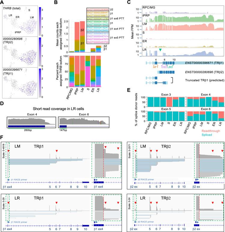 https://cdn.ncbi.nlm.nih.gov/pmc/blobs/e560/12327943/ea8467fab36f/elife-101918-fig4.jpg