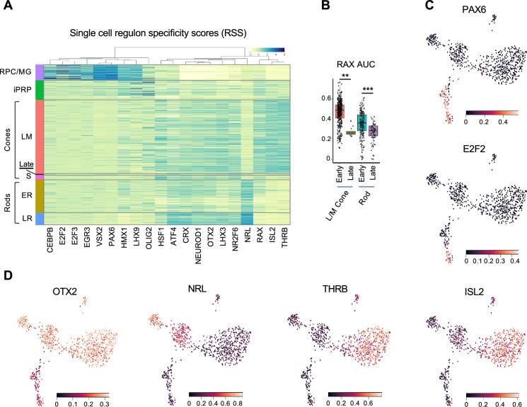 https://cdn.ncbi.nlm.nih.gov/pmc/blobs/e560/12327943/eb8fbf41d2b8/elife-101918-fig2.jpg