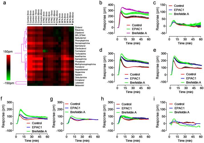 https://cdn.ncbi.nlm.nih.gov/pmc/blobs/e560/3899747/c23bd6efc3f3/srep03828-f9.jpg