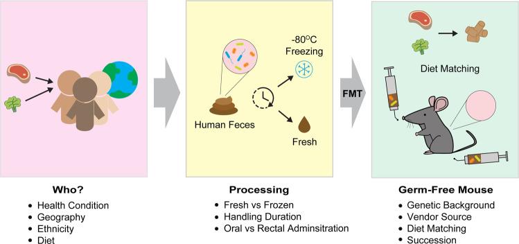 https://cdn.ncbi.nlm.nih.gov/pmc/blobs/e560/8080820/ec50af38bc85/12276_2020_473_Fig1_HTML.jpg
