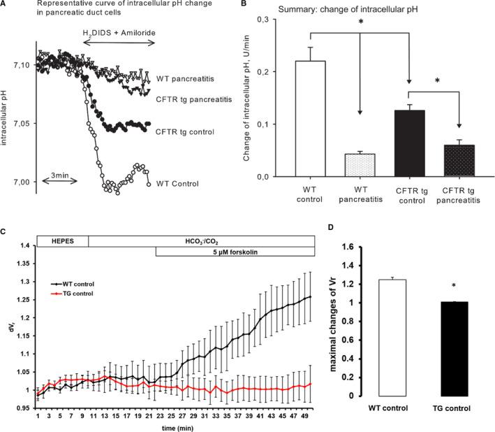 https://cdn.ncbi.nlm.nih.gov/pmc/blobs/e561/8107082/3c4a5af88911/JCMM-25-4658-g006.jpg