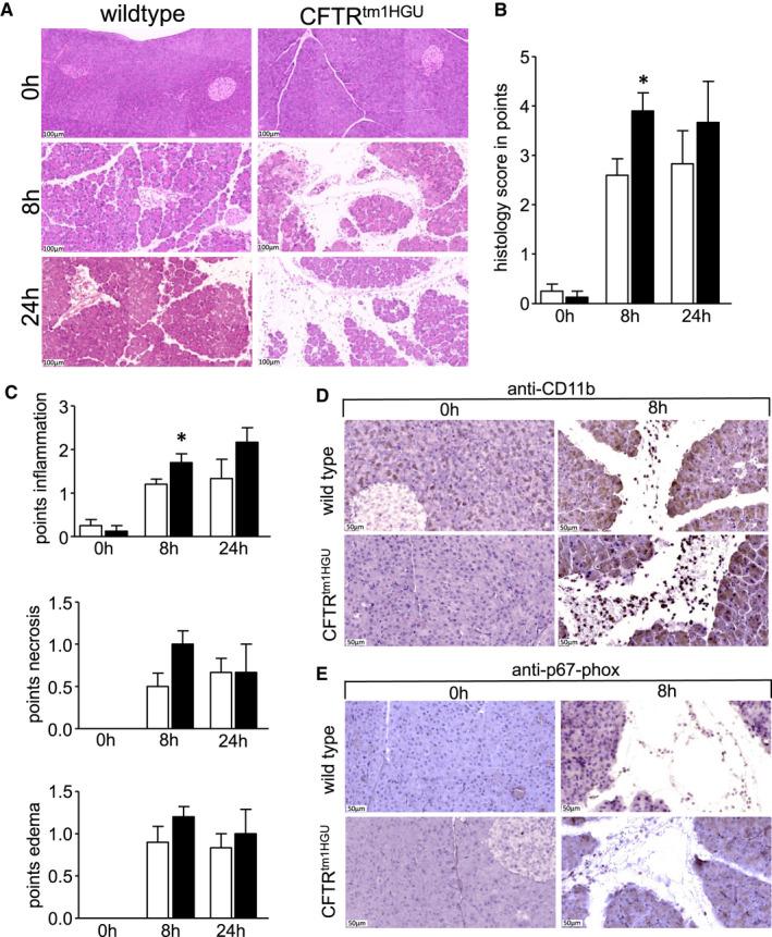 https://cdn.ncbi.nlm.nih.gov/pmc/blobs/e561/8107082/6c16d64730bf/JCMM-25-4658-g004.jpg