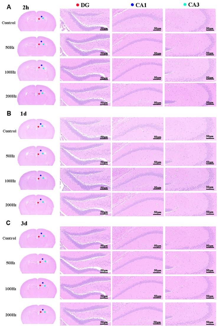 https://cdn.ncbi.nlm.nih.gov/pmc/blobs/e562/11988873/26628fecda2c/ijms-26-02871-g004.jpg