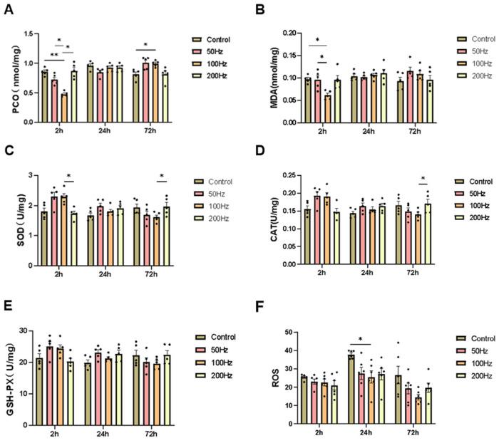 https://cdn.ncbi.nlm.nih.gov/pmc/blobs/e562/11988873/5b641dc329f3/ijms-26-02871-g005.jpg