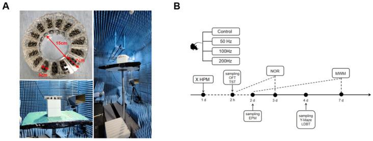 https://cdn.ncbi.nlm.nih.gov/pmc/blobs/e562/11988873/a8d573bc60de/ijms-26-02871-g008.jpg