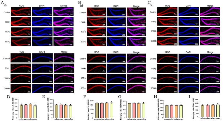 https://cdn.ncbi.nlm.nih.gov/pmc/blobs/e562/11988873/f52f3e65cc21/ijms-26-02871-g006.jpg