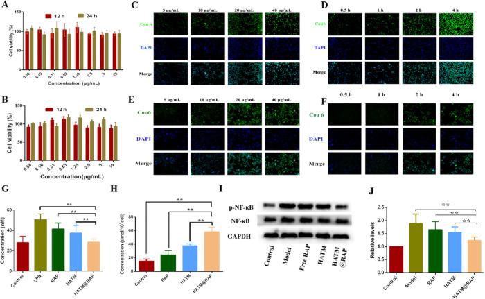 https://cdn.ncbi.nlm.nih.gov/pmc/blobs/e562/9686187/402b58b769af/ao2c05407_0005.jpg