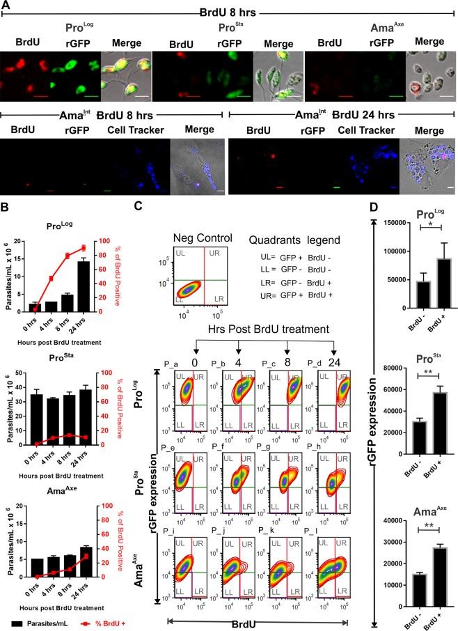 https://cdn.ncbi.nlm.nih.gov/pmc/blobs/e565/6908629/5255770a62b2/41598_2019_55486_Fig3_HTML.jpg
