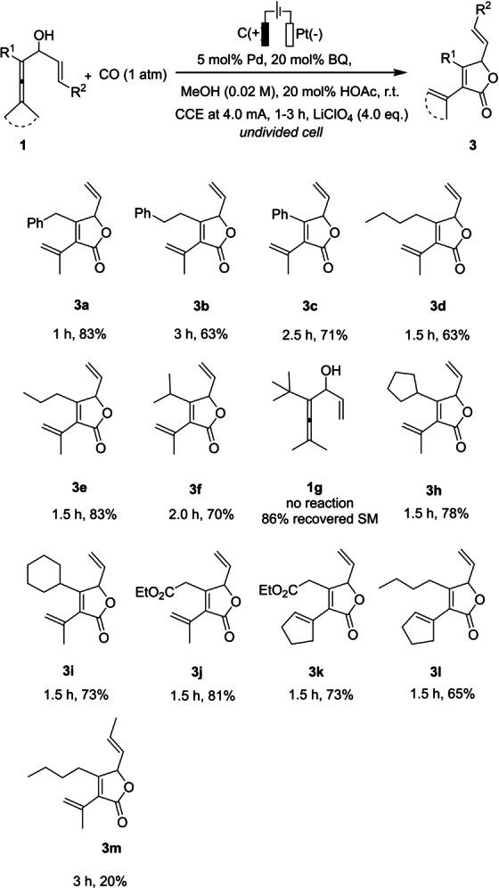https://cdn.ncbi.nlm.nih.gov/pmc/blobs/e566/10098644/c5348cc3dfb2/ANIE-61-0-g004.jpg