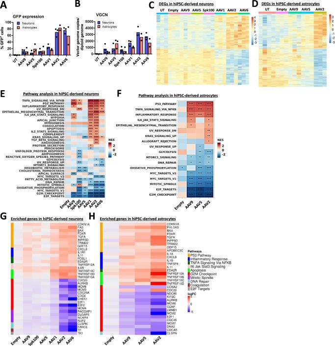 https://cdn.ncbi.nlm.nih.gov/pmc/blobs/e566/12008376/6ff083c70d9f/41467_2025_58778_Fig1_HTML.jpg
