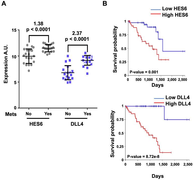 https://cdn.ncbi.nlm.nih.gov/pmc/blobs/e567/9169368/98ef82627be7/thnov12p4374g002.jpg