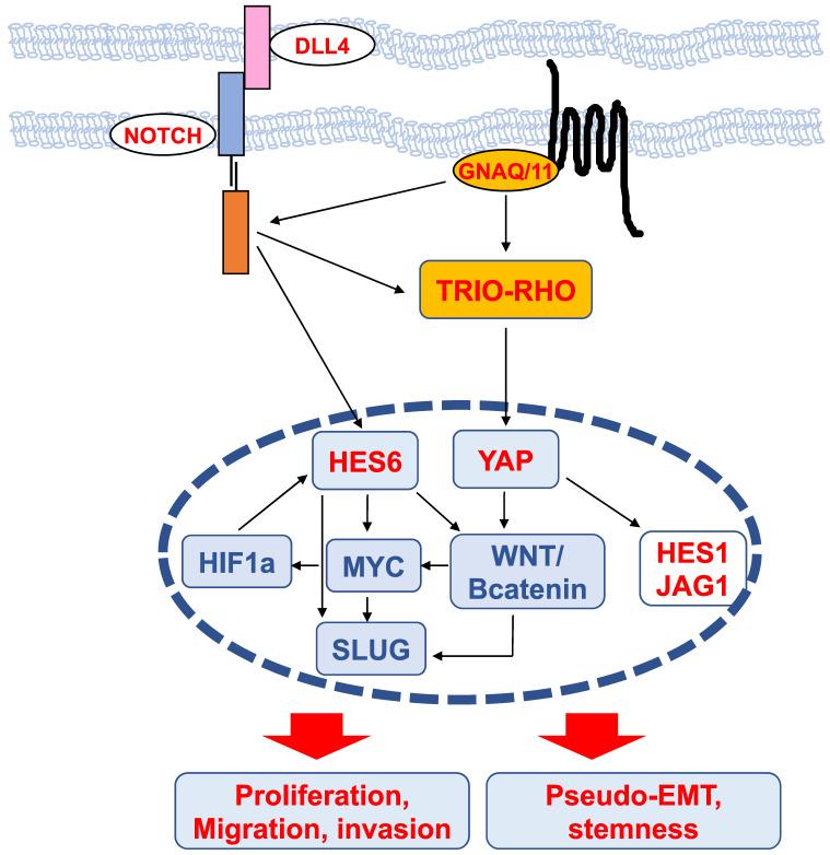 https://cdn.ncbi.nlm.nih.gov/pmc/blobs/e567/9169368/aa5ba8973ed5/thnov12p4374g004.jpg