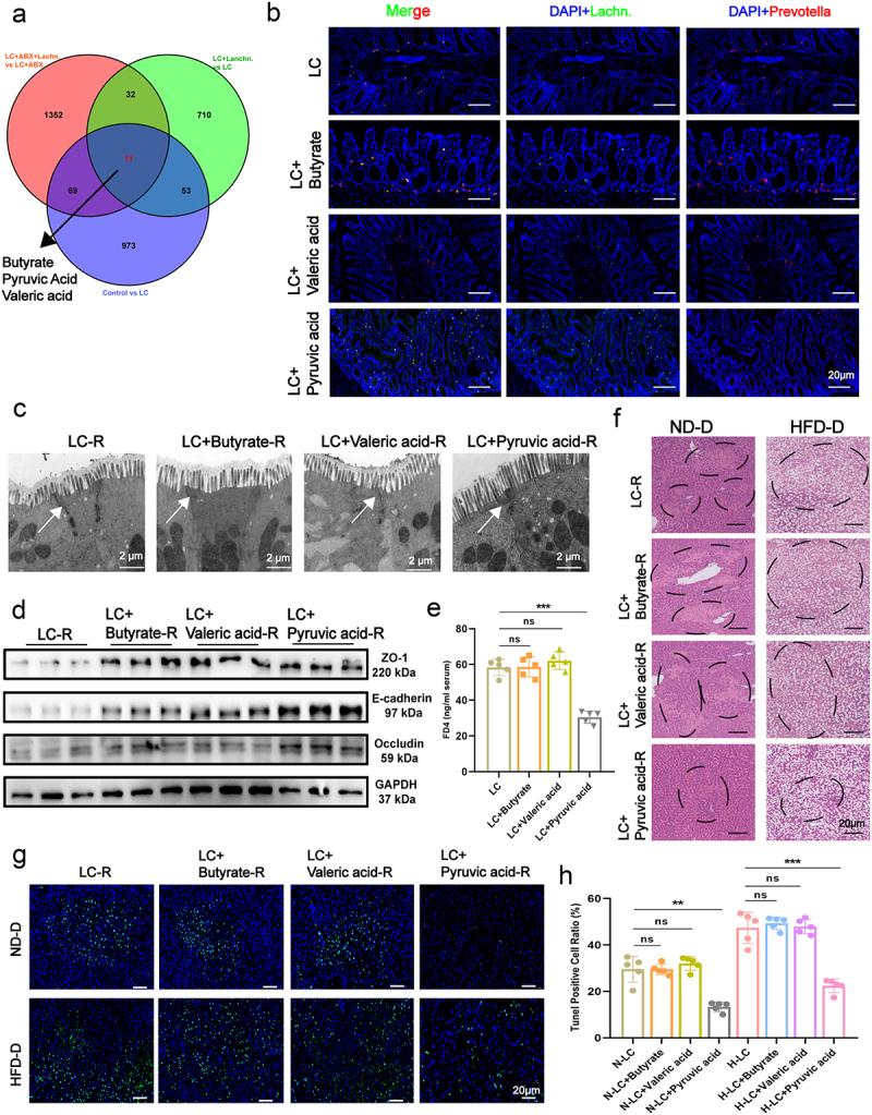 https://cdn.ncbi.nlm.nih.gov/pmc/blobs/e568/11784649/4077699854d8/KGMI_A_2460543_F0003_OC.jpg