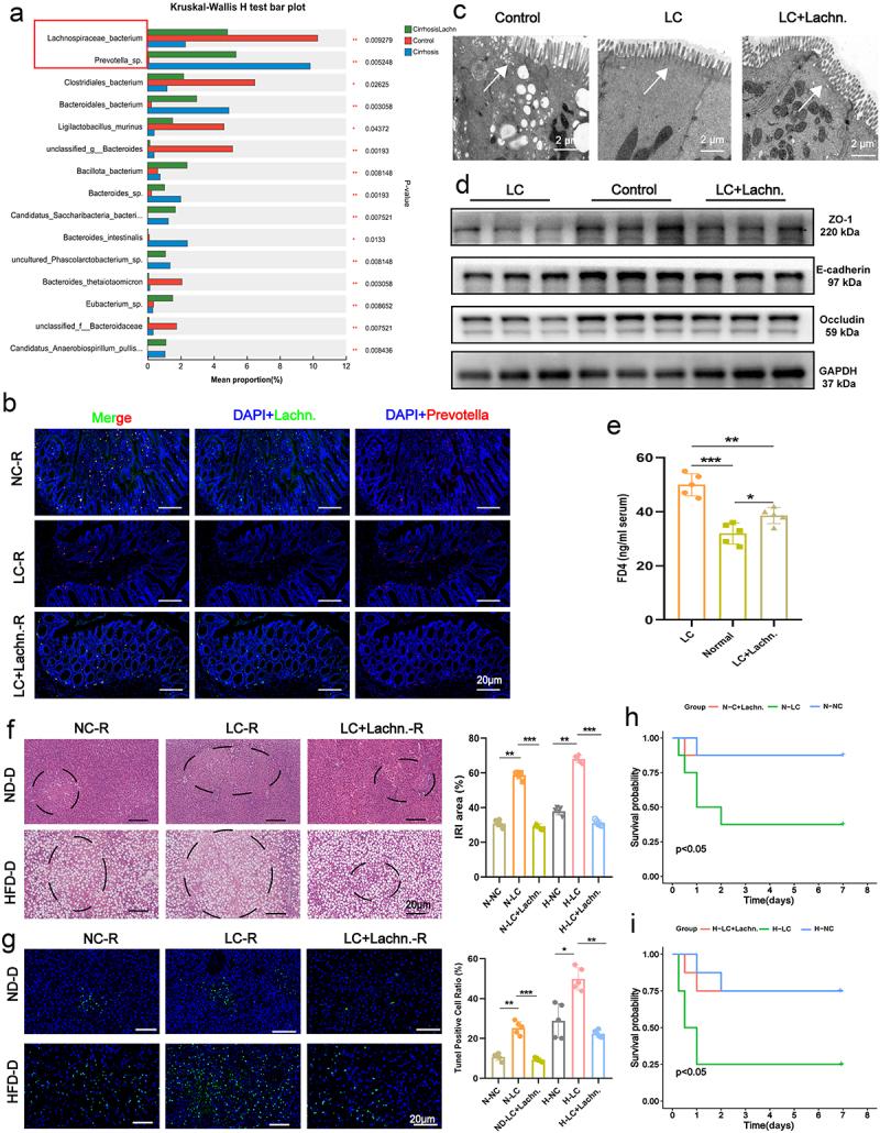 https://cdn.ncbi.nlm.nih.gov/pmc/blobs/e568/11784649/4f04331d187e/KGMI_A_2460543_F0001_OC.jpg