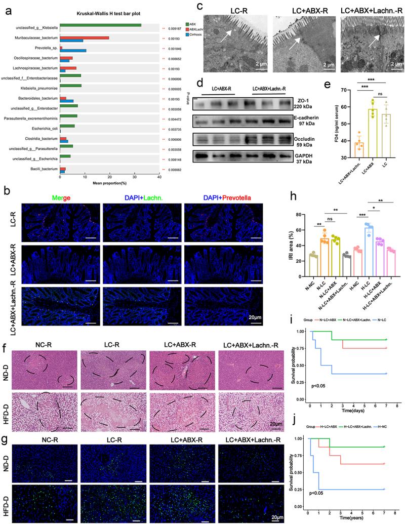 https://cdn.ncbi.nlm.nih.gov/pmc/blobs/e568/11784649/575d35078619/KGMI_A_2460543_F0002_OC.jpg