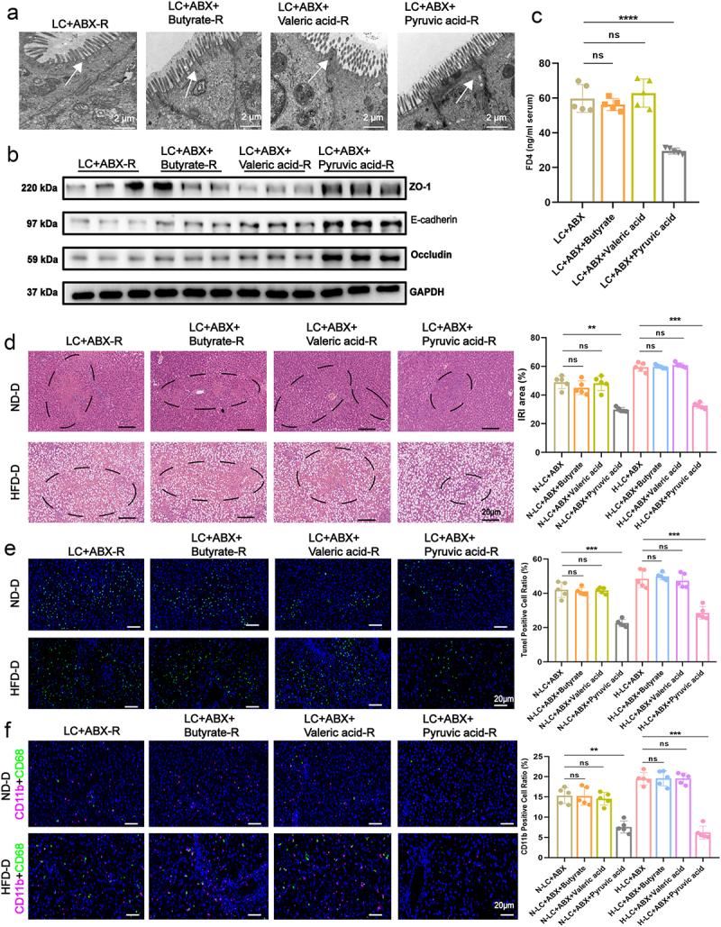 https://cdn.ncbi.nlm.nih.gov/pmc/blobs/e568/11784649/74b596d89f19/KGMI_A_2460543_F0004_OC.jpg