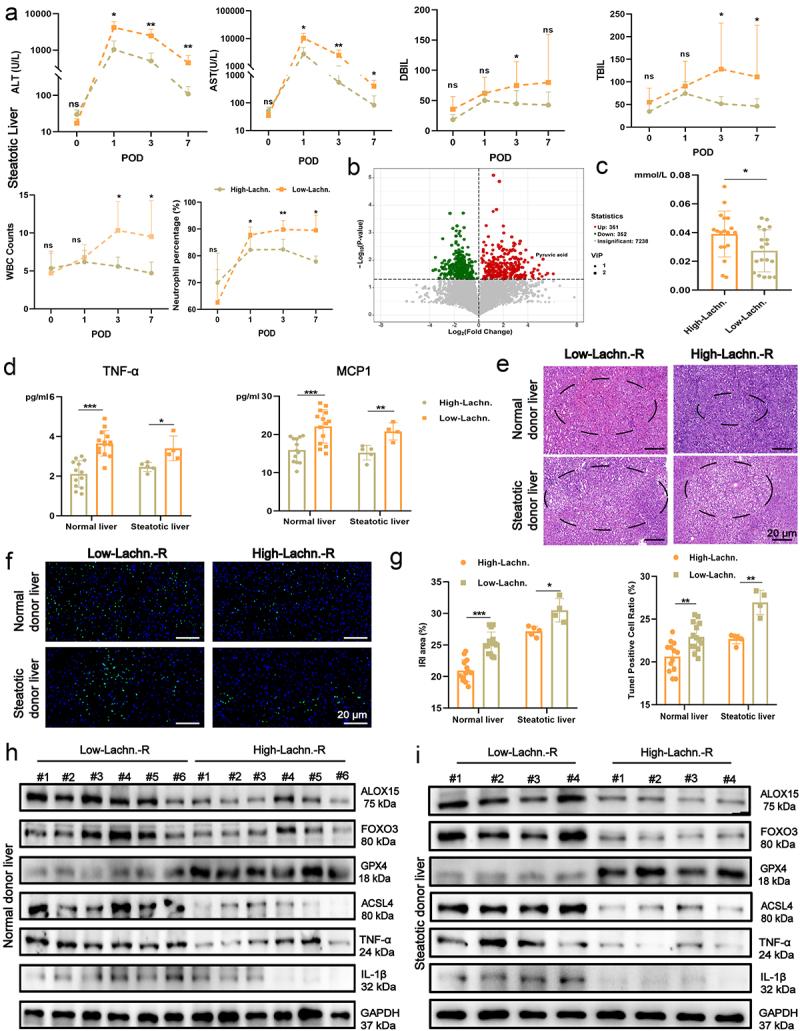 https://cdn.ncbi.nlm.nih.gov/pmc/blobs/e568/11784649/d535570b1198/KGMI_A_2460543_F0007_OC.jpg