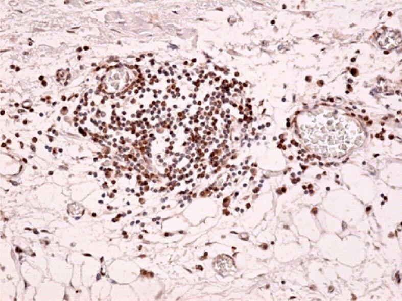 https://cdn.ncbi.nlm.nih.gov/pmc/blobs/e568/8343594/2c5bb8e0b823/RJME-61-4-1249-fig17.jpg