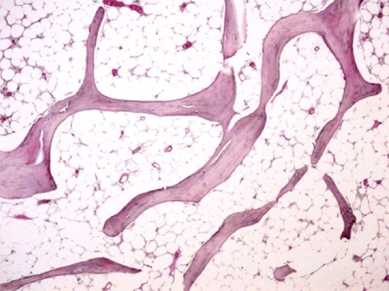 https://cdn.ncbi.nlm.nih.gov/pmc/blobs/e568/8343594/463559c8f7fa/RJME-61-4-1249-fig2.jpg