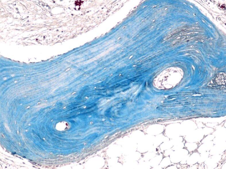 https://cdn.ncbi.nlm.nih.gov/pmc/blobs/e568/8343594/4e944069479d/RJME-61-4-1249-fig5.jpg