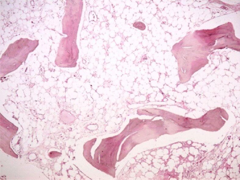 https://cdn.ncbi.nlm.nih.gov/pmc/blobs/e568/8343594/69ae0b411b34/RJME-61-4-1249-fig3.jpg