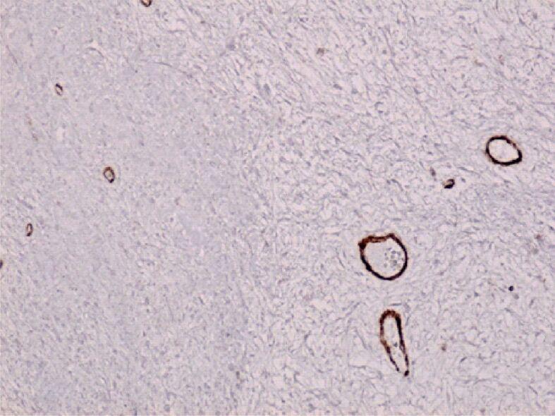 https://cdn.ncbi.nlm.nih.gov/pmc/blobs/e568/8343594/add7fa9949a4/RJME-61-4-1249-fig13.jpg