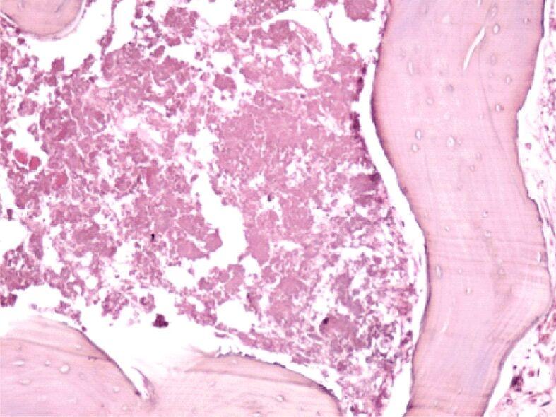 https://cdn.ncbi.nlm.nih.gov/pmc/blobs/e568/8343594/d09d8b1ba09f/RJME-61-4-1249-fig1.jpg