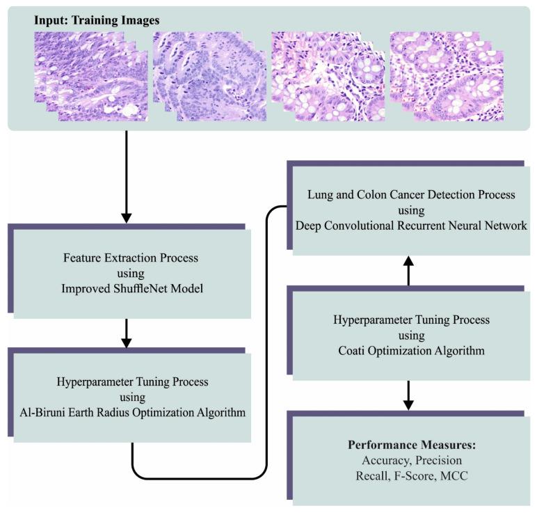 https://cdn.ncbi.nlm.nih.gov/pmc/blobs/e569/10340056/49f642ef7d1a/cancers-15-03300-g001.jpg