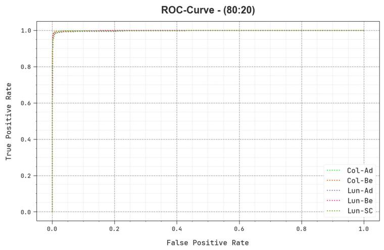 https://cdn.ncbi.nlm.nih.gov/pmc/blobs/e569/10340056/a47179dac7fc/cancers-15-03300-g012.jpg