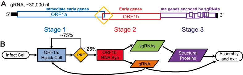 https://cdn.ncbi.nlm.nih.gov/pmc/blobs/e56a/7833279/1ca3603900d9/gr1_lrg.jpg