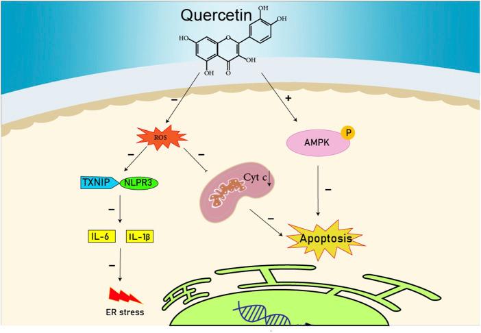 https://cdn.ncbi.nlm.nih.gov/pmc/blobs/e56b/9871646/c953ac0b7bbd/fphar-13-1027633-g001.jpg