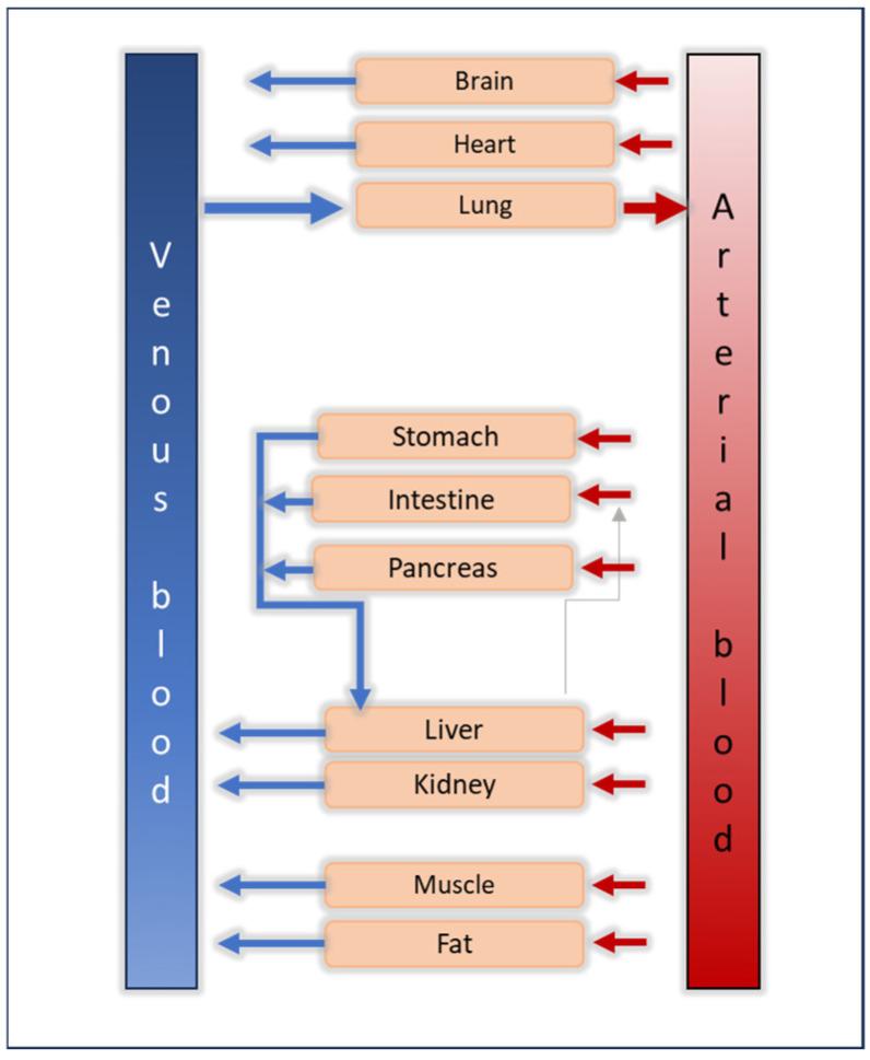 https://cdn.ncbi.nlm.nih.gov/pmc/blobs/e56d/11429320/dae433f1802c/biomedicines-12-01974-g002.jpg